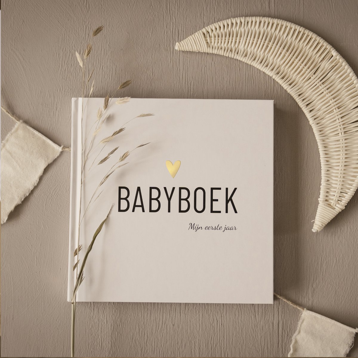 Babyboek - Mijn eerste jaar 1
