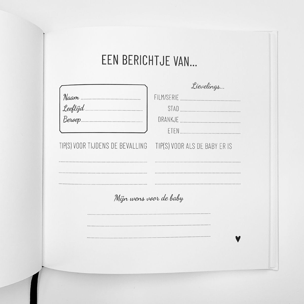 Invulboek zwanger 3
